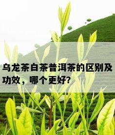 乌龙茶白茶普洱茶的区别及功效，哪个更好？