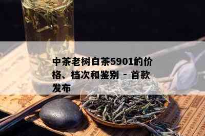 中茶老树白茶5901的价格、档次和鉴别 - 首款发布