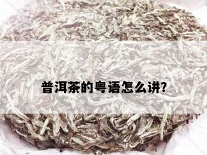 普洱茶的粤语怎么讲？