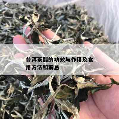 普洱茶醋的功效与作用及食用方法和禁忌