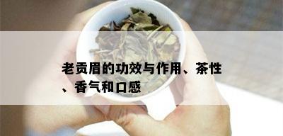 老贡眉的功效与作用、茶性、香气和口感