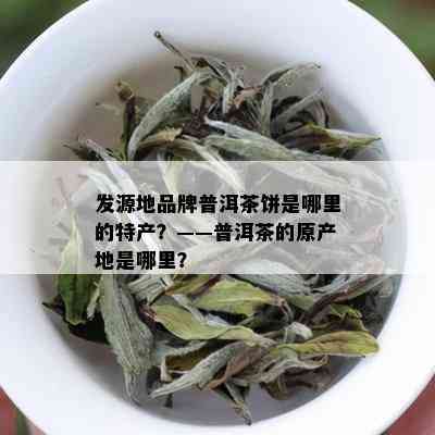 发源地品牌普洱茶饼是哪里的特产？——普洱茶的原产地是哪里？