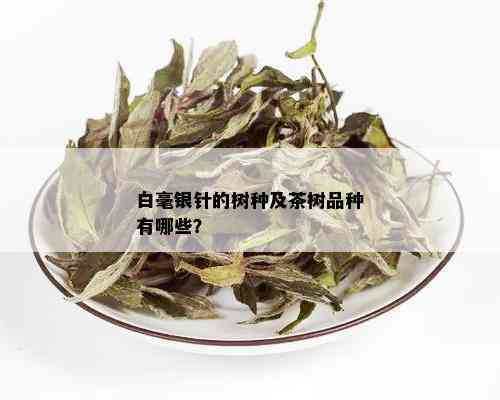 白毫银针的树种及茶树品种有哪些？