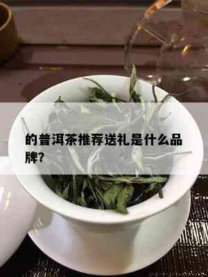 的普洱茶推荐送礼是什么品牌？