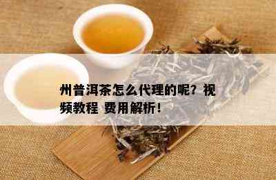 州普洱茶怎么代理的呢？视频教程 费用解析！