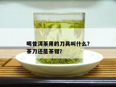 喝普洱茶用的刀具叫什么？茶刀还是茶钳？