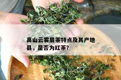 高山云雾眉茶特点及其产地县，是否为红茶？