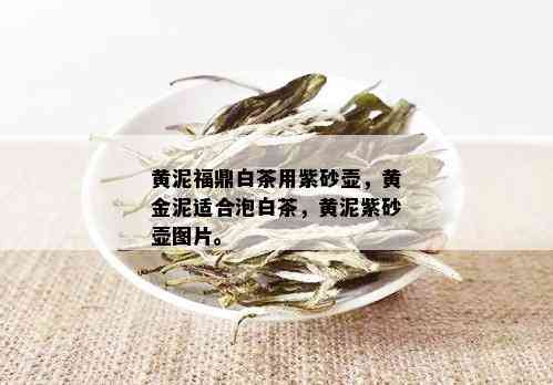 黄泥福鼎白茶用紫砂壶，黄金泥适合泡白茶，黄泥紫砂壶图片。