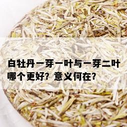 白牡丹一芽一叶与一芽二叶哪个更好？意义何在？