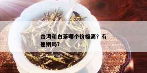 普洱和白茶哪个价格高？有差别吗？