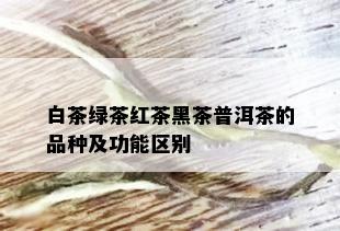 白茶绿茶红茶黑茶普洱茶的品种及功能区别