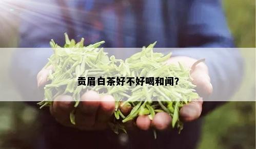 贡眉白茶好不好喝和闻？