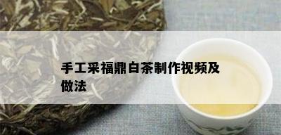 手工采福鼎白茶制作视频及做法