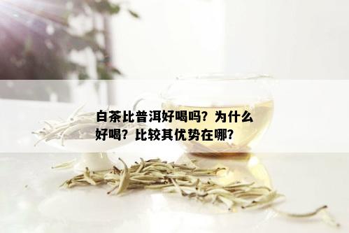 白茶比普洱好喝吗？为什么好喝？比较其优势在哪？