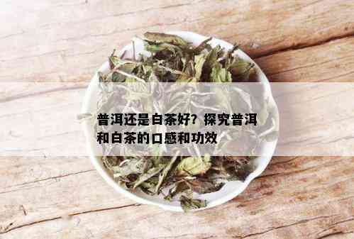 普洱还是白茶好？探究普洱和白茶的口感和功效