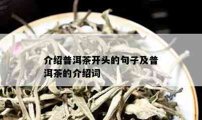 介绍普洱茶开头的句子及普洱茶的介绍词