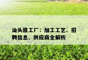 汕头眉工厂：加工工艺、招聘信息、供应商全解析