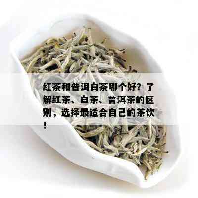 红茶和普洱白茶哪个好？了解红茶、白茶、普洱茶的区别，选择最适合自己的茶饮！