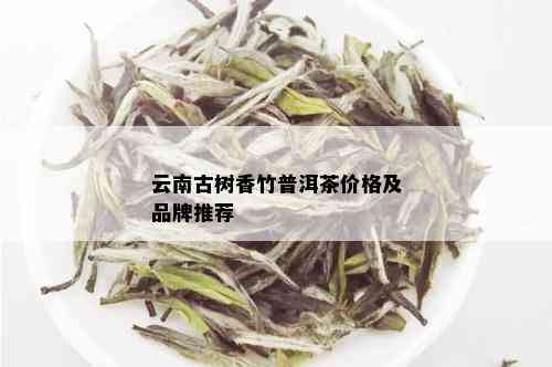 云南古树香竹普洱茶价格及品牌推荐