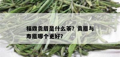 福鼎贡眉是什么茶？贡眉与寿眉哪个更好？