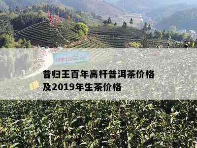 昔归王百年高杆普洱茶价格及2019年生茶价格