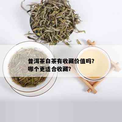 普洱茶白茶有收藏价值吗？哪个更适合收藏？