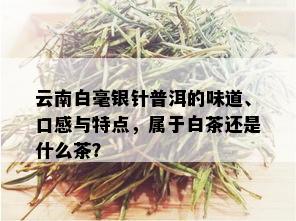 云南白毫银针普洱的味道、口感与特点，属于白茶还是什么茶？