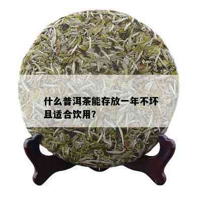 什么普洱茶能存放一年不坏且适合饮用？