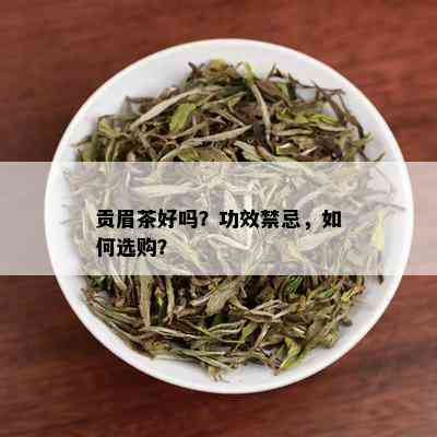 贡眉茶好吗？功效禁忌，如何选购？