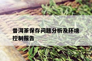 普洱茶保存问题分析及环境控制报告