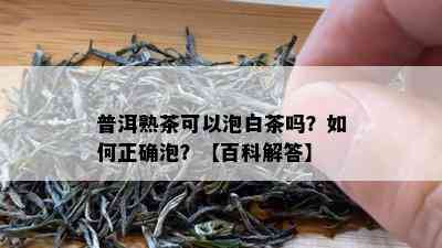 普洱熟茶可以泡白茶吗？如何正确泡？【百科解答】