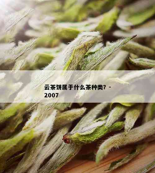 云茶饼属于什么茶种类？-2007