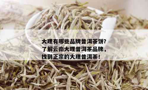 大理有哪些品牌普洱茶饼？了解云南大理普洱茶品牌，找到正宗的大理普洱茶！