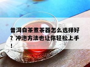 普洱白茶煮茶器怎么选择好？冲泡方法也让你轻松上手！