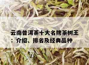 云南普洱茶十大名牌茶树王：介绍、排名及经典品种