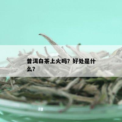 普洱白茶上火吗？好处是什么？