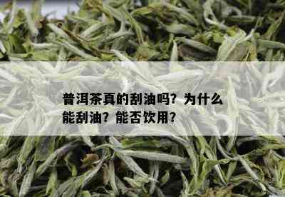 普洱茶真的刮油吗？为什么能刮油？能否饮用？