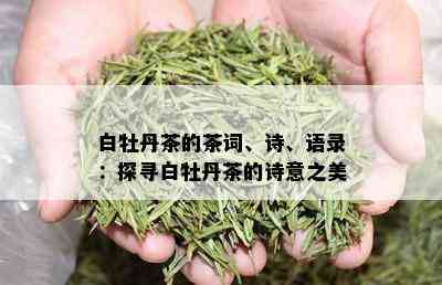 白牡丹茶的茶词、诗、语录：探寻白牡丹茶的诗意之美