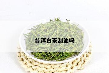 普洱白茶刮油吗