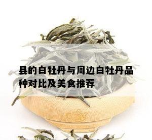 县的白牡丹与周边白牡丹品种对比及美食推荐