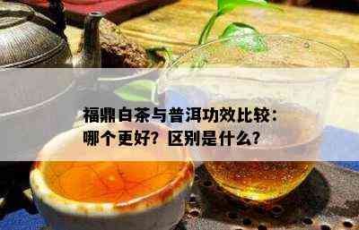 福鼎白茶与普洱功效比较：哪个更好？区别是什么？