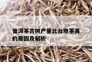 普洱茶古树产量比台地茶高的原因及解析