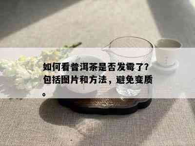 如何看普洱茶是否发霉了？包括图片和方法，避免变质。