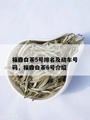 福鼎白茶5号排名及动车号码，福鼎白茶6号介绍