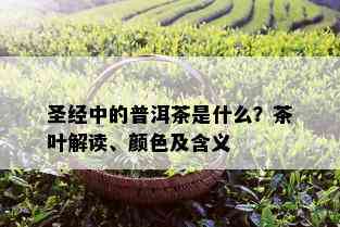 圣经中的普洱茶是什么？茶叶解读、颜色及含义