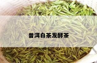 普洱白茶发酵茶