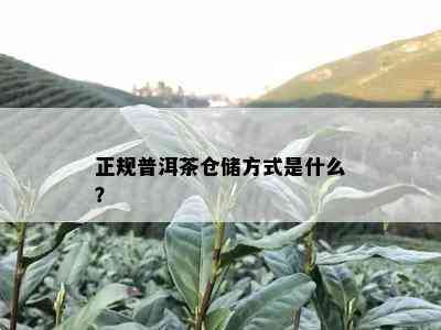 正规普洱茶仓储方式是什么？