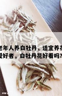 老年人养白牡丹，适宜养花爱好者，白牡丹花好看吗？