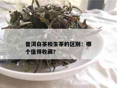 普洱白茶和生茶的区别：哪个值得收藏？