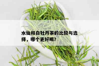 水仙和白牡丹茶的比较与选择，哪个更好喝？